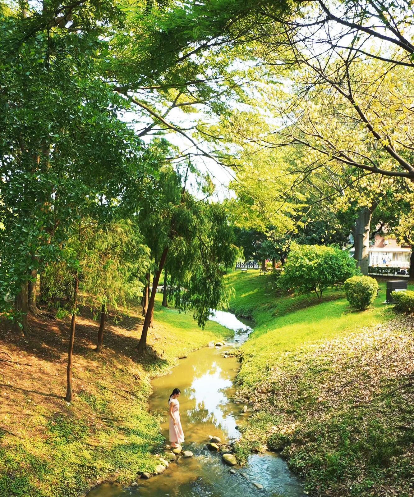 松丹達麗|達麗建設-1